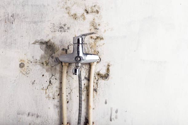 Water Damage Restoration in Columbus Af, MS